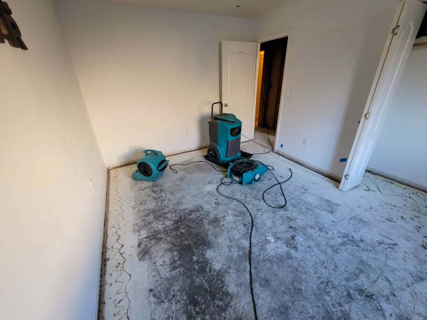 Best Local water damage restoration  in Oli, PA