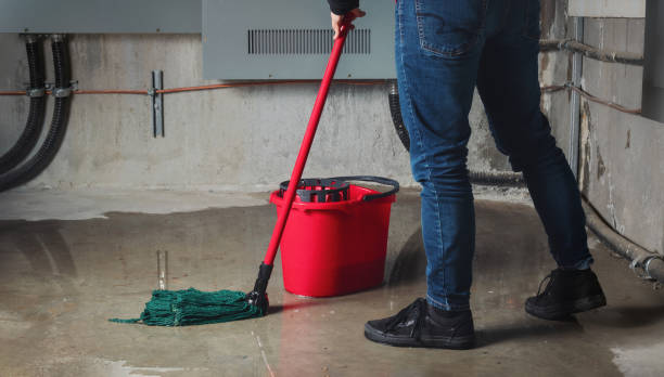 Best Water damage restoration process  in Oli, PA