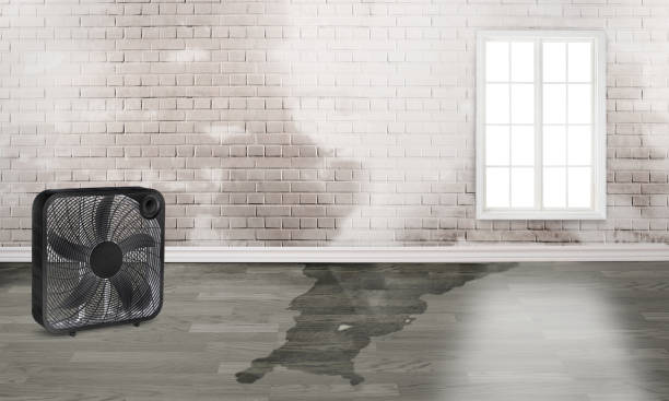 Best 24-hour water damage restoration  in Oli, PA