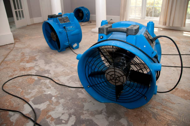 Best Commercial water damage restoration  in Oli, PA