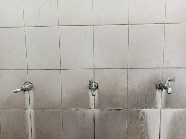 Best Ceiling water damage repair  in Oli, PA