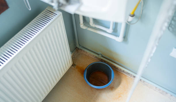 Best Flood damage cleanup  in Oli, PA