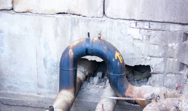 Best Water damage cleanup near me  in Oli, PA